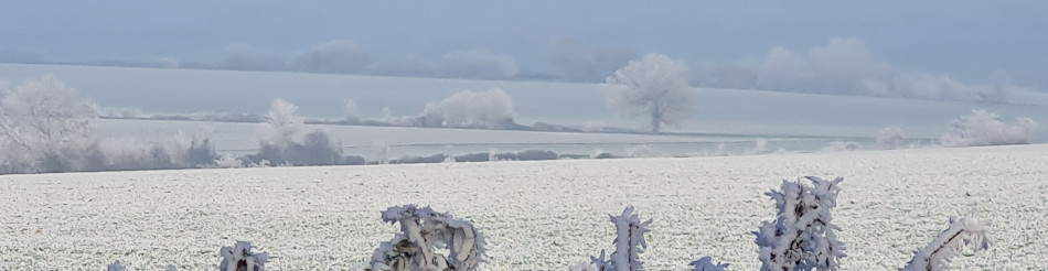 Shoe Devil and Fen Farm