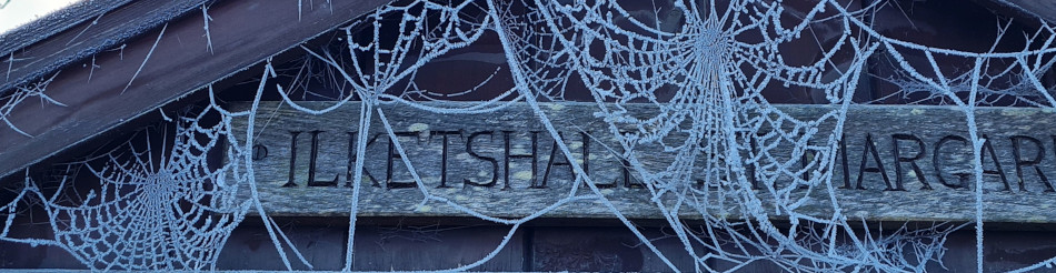 Shoe Devil and Fen Farm