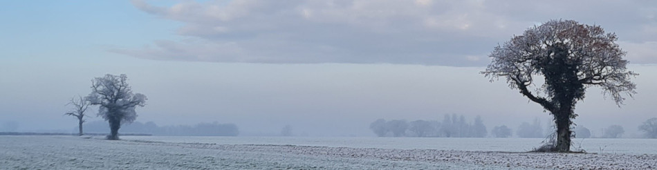 Shoe Devil and Fen Farm