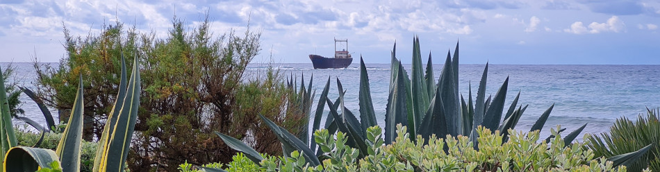 Coast North of Paphos
