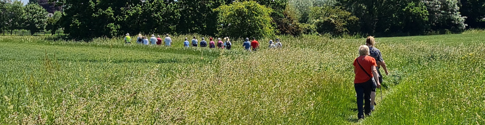 Gillingham to Geldeston