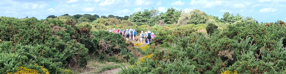 Dunwich and Coastguard Cottages