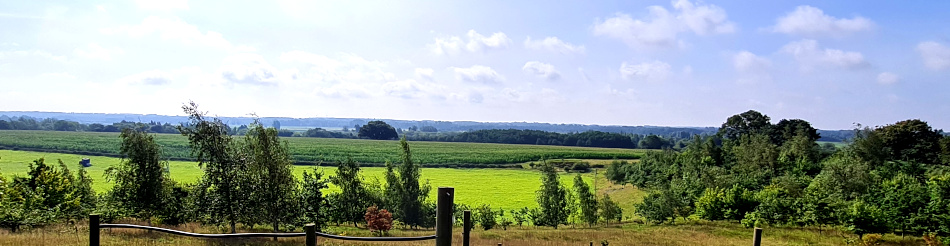 Burgh Saint Peter and Aldby