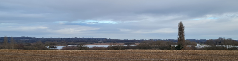 Surlingham and Rockland