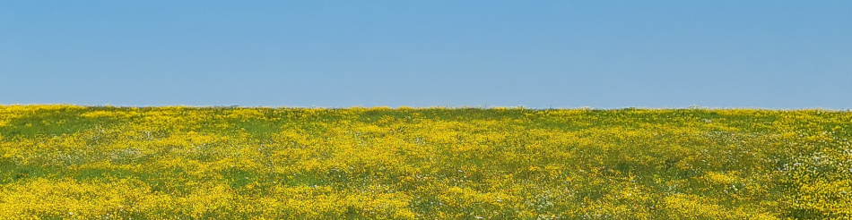 Chediston Rumburgh Wissett
