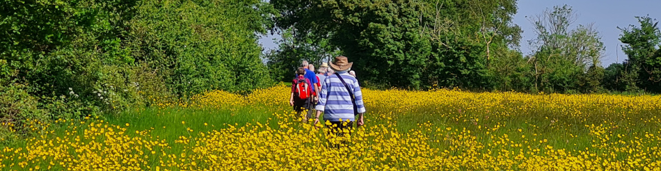 Chediston Rumburgh Wissett