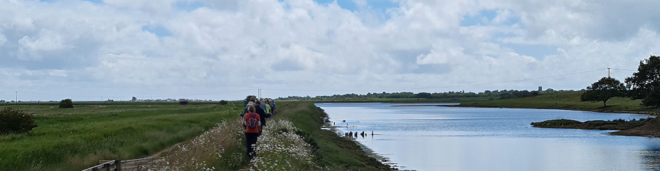 Hen Reed Beds