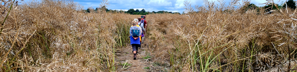 Brooke Wensum Ramblers
