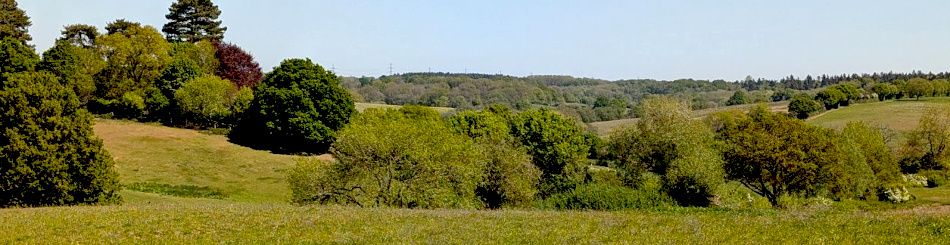 Arger Fen and Bures Dragon